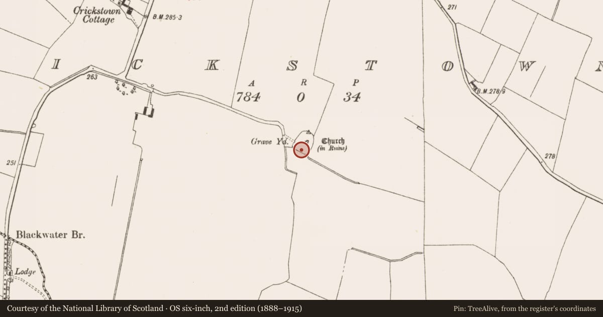 Ordnance Survey six-inch map, 2nd edition (1888–1915) covering the location of Graveyard, Crickstown, County Meath, with a pin at the register's coordinates