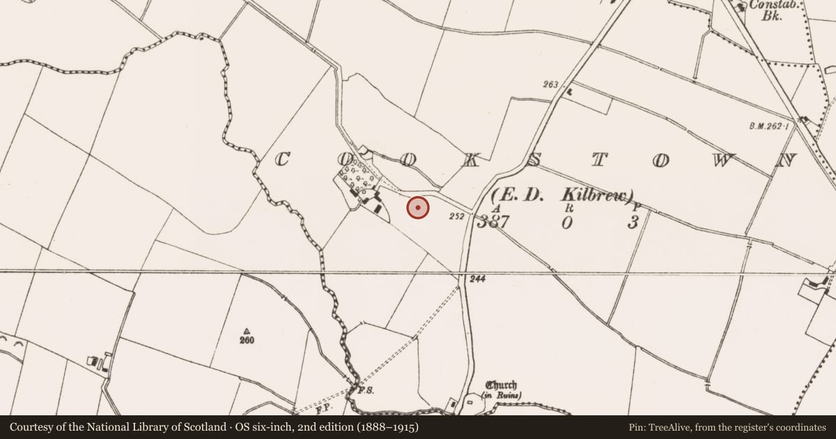 Ordnance Survey six-inch map, 2nd edition (1888–1915) covering the location of Kiln - corn-drying, Cookstown (Ratoath By., Cookstown Par.), County Meath, with a pin at the register's coordinates