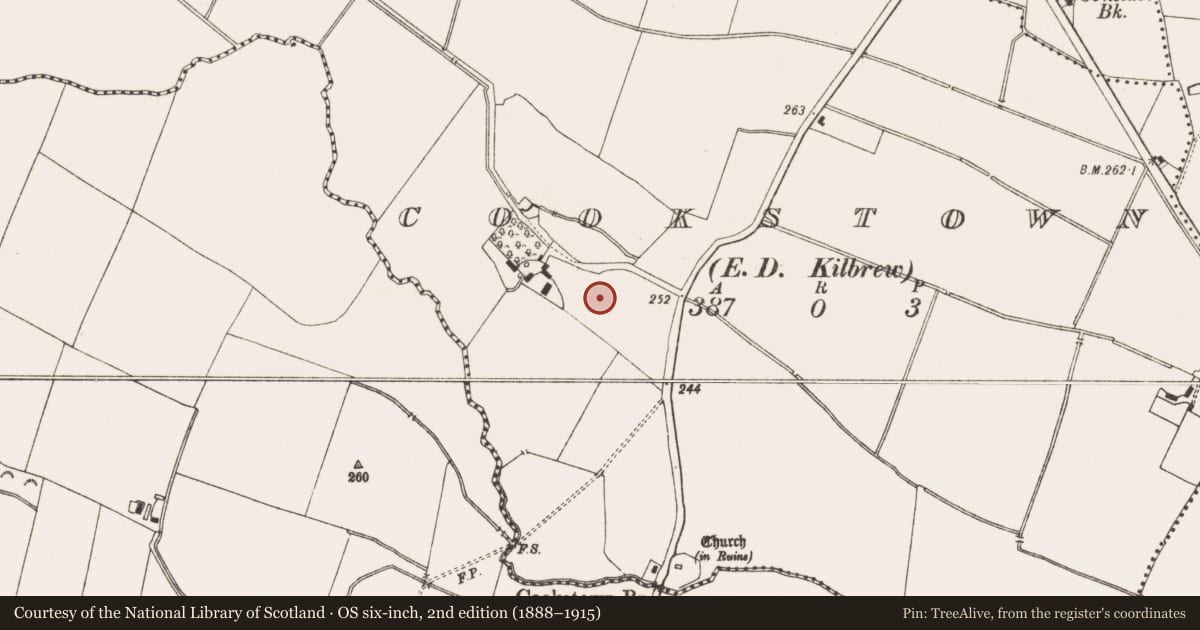 Ordnance Survey six-inch map, 2nd edition (1888–1915) covering the location of Enclosure, Cookstown (Ratoath By., Cookstown Par.), County Meath, with a pin at the register's coordinates