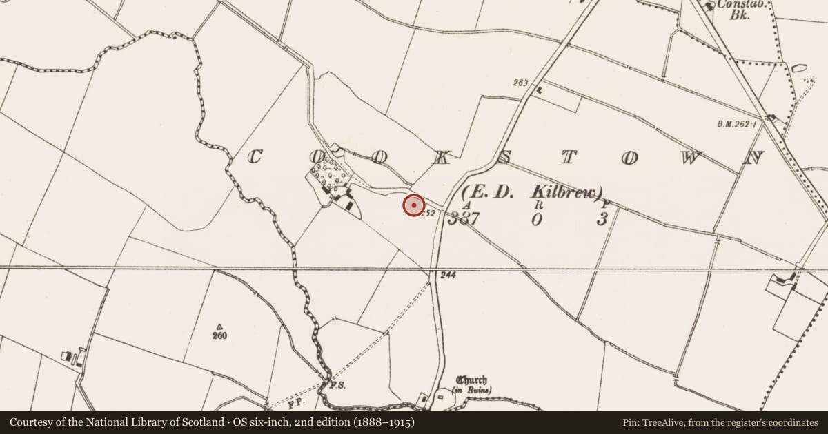 Ordnance Survey six-inch map, 2nd edition (1888–1915) covering the location of Settlement cluster, Cookstown (Ratoath By., Cookstown Par.), County Meath, with a pin at the register's coordinates