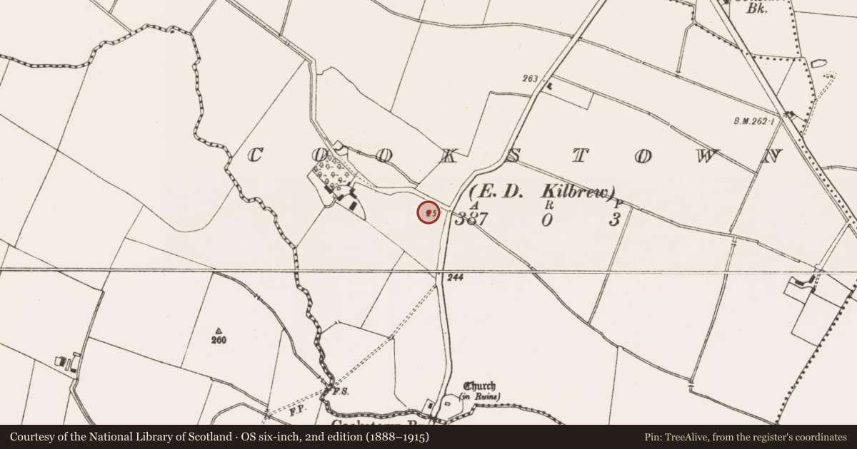 Ordnance Survey six-inch map, 2nd edition (1888–1915) covering the location of Forge, Cookstown (Ratoath By., Cookstown Par.), County Meath, with a pin at the register's coordinates