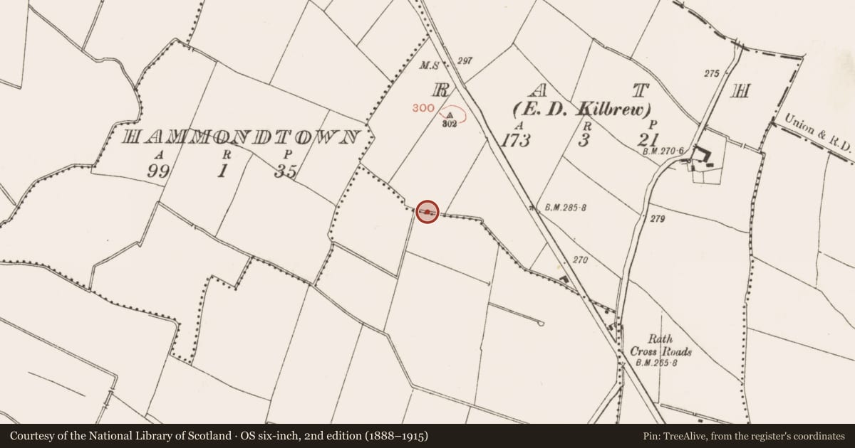 Ordnance Survey six-inch map, 2nd edition (1888–1915) covering the location of Structure, Rath (Ratoath By., Cookstown Par.), County Meath, with a pin at the register's coordinates