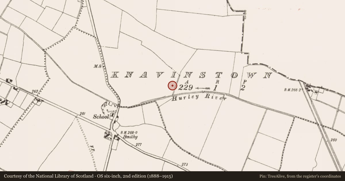 Ordnance Survey six-inch map, 2nd edition (1888–1915) covering the location of Enclosure, Knavinstown, County Meath, with a pin at the register's coordinates