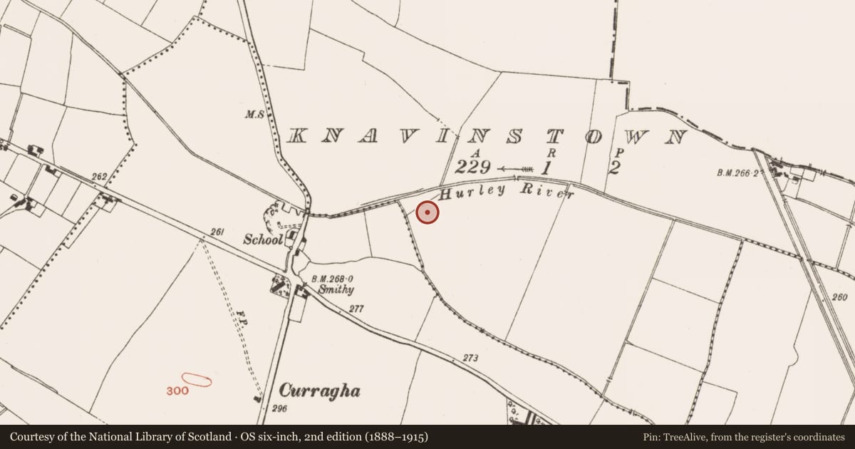 Ordnance Survey six-inch map, 2nd edition (1888–1915) covering the location of Ringfort - rath, Knavinstown, County Meath, with a pin at the register's coordinates