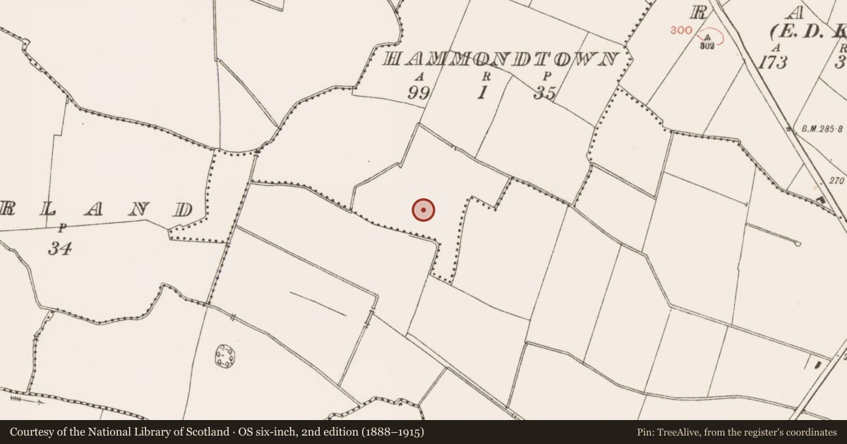 Ordnance Survey six-inch map, 2nd edition (1888–1915) covering the location of Field system, Hammondtown, County Meath, with a pin at the register's coordinates