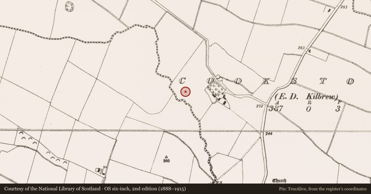 Ordnance Survey six-inch map, 2nd edition (1888–1915) covering the location of Enclosure, Cookstown (Ratoath By., Cookstown Par.), County Meath, with a pin at the register's coordinates