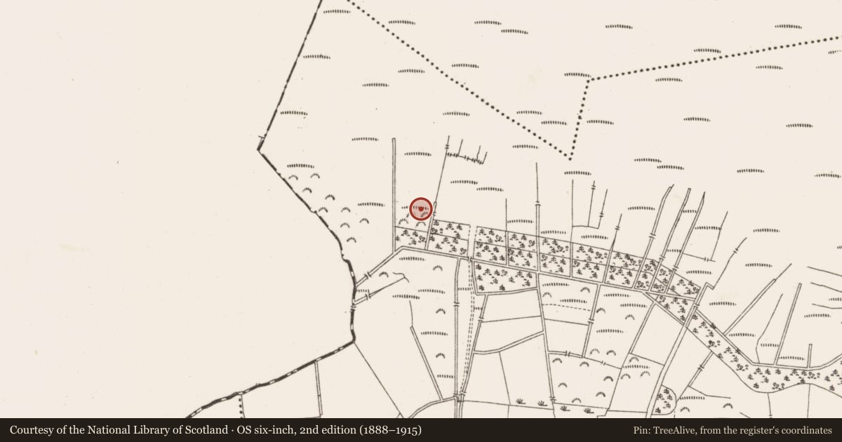Ordnance Survey six-inch map, 2nd edition (1888–1915) covering the location of Burial, Kilwarden, County Meath, with a pin at the register's coordinates