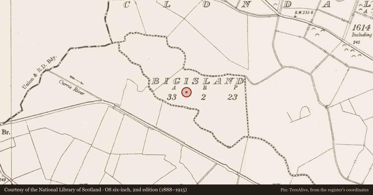 Ordnance Survey six-inch map, 2nd edition (1888–1915) covering the location of Ringfort - rath, Bigisland, County Meath, with a pin at the register's coordinates