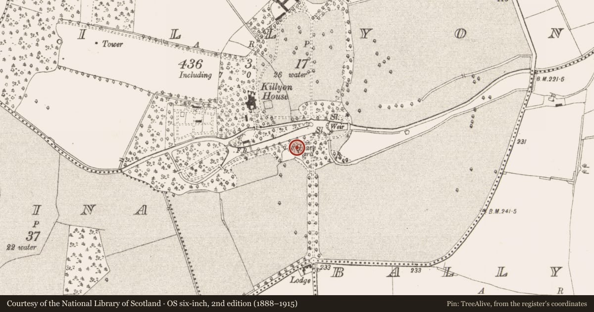 Ordnance Survey six-inch map, 2nd edition (1888–1915) covering the location of Ritual site - holy well, Killyon, County Meath, with a pin at the register's coordinates