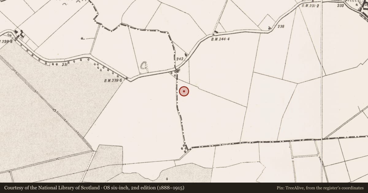 Ordnance Survey six-inch map, 2nd edition (1888–1915) covering the location of Ring-ditch, Dalystown, County Meath, with a pin at the register's coordinates