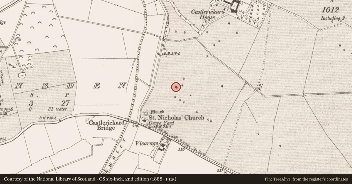 Ordnance Survey six-inch map, 2nd edition (1888–1915) covering the location of Road - road/trackway, Castlerickard, County Meath, with a pin at the register's coordinates