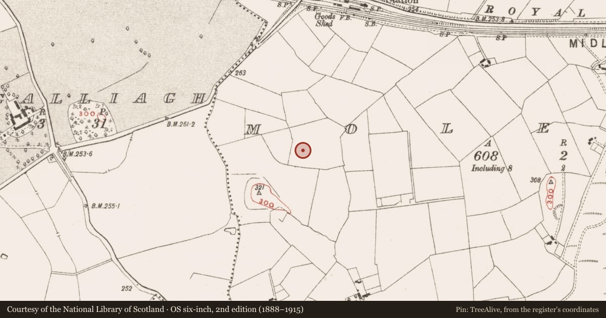 Ordnance Survey six-inch map, 2nd edition (1888–1915) covering the location of Moated site, Molerick, County Meath, with a pin at the register's coordinates