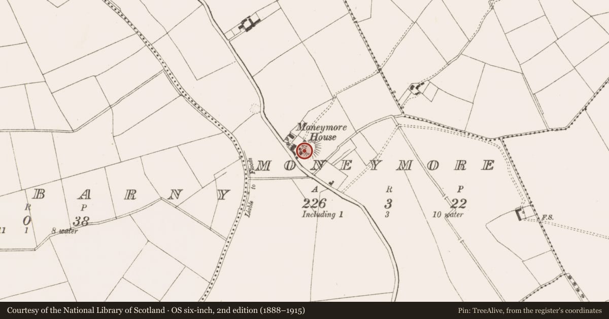 Ordnance Survey six-inch map, 2nd edition (1888–1915) covering the location of Mound, Moneymore, County Meath, with a pin at the register's coordinates