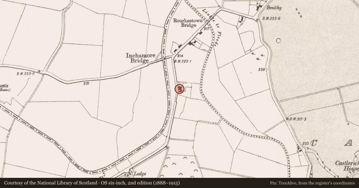 Ordnance Survey six-inch map, 2nd edition (1888–1915) covering the location of Burial ground, Lionsden, County Meath, with a pin at the register's coordinates