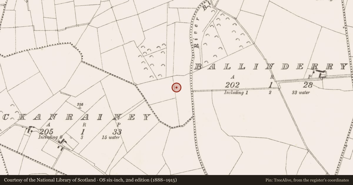 Ordnance Survey six-inch map, 2nd edition (1888–1915) covering the location of Burnt mound, Lionsden, County Meath, with a pin at the register's coordinates