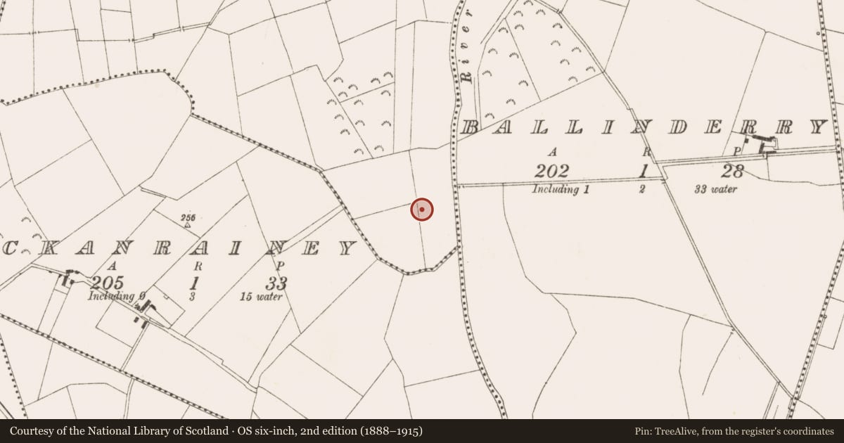 Ordnance Survey six-inch map, 2nd edition (1888–1915) covering the location of Burnt mound, Lionsden, County Meath, with a pin at the register's coordinates