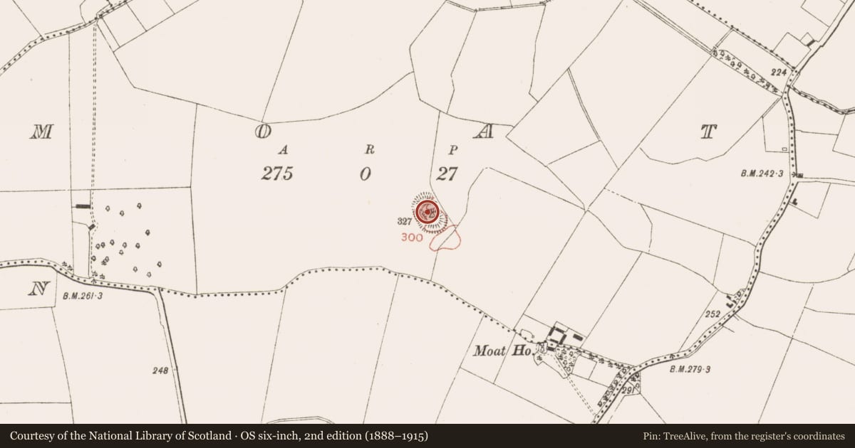 Ordnance Survey six-inch map, 2nd edition (1888–1915) covering the location of Castle - motte and bailey, Moat, County Meath, with a pin at the register's coordinates