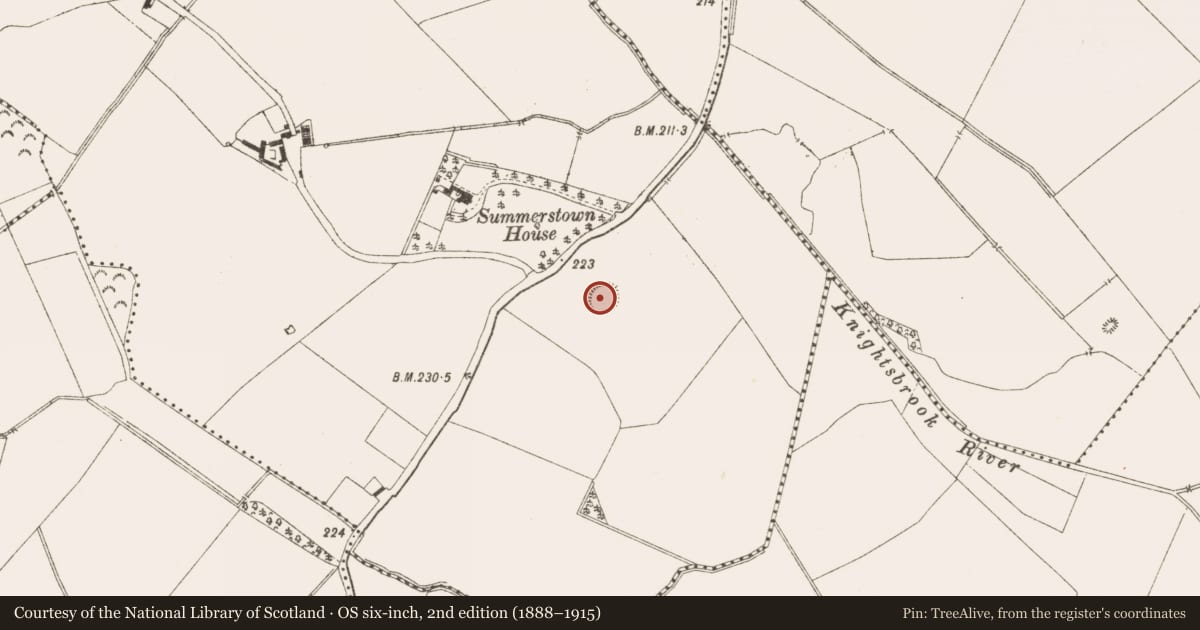 Ordnance Survey six-inch map, 2nd edition (1888–1915) covering the location of Ringfort - rath, Summerstown, County Meath, with a pin at the register's coordinates