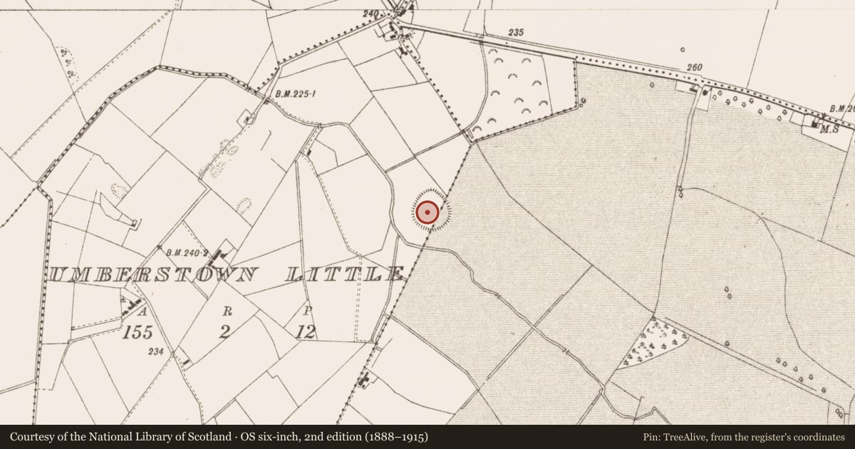 Ordnance Survey six-inch map, 2nd edition (1888–1915) covering the location of Enclosure - large enclosure, Dangan, Umberstown Little, County Meath, with a pin at the register's coordinates