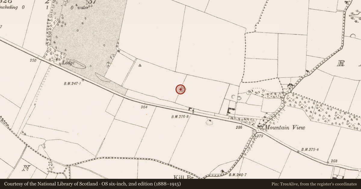 Ordnance Survey six-inch map, 2nd edition (1888–1915) covering the location of Barrow - mound barrow, Tromman, County Meath, with a pin at the register's coordinates