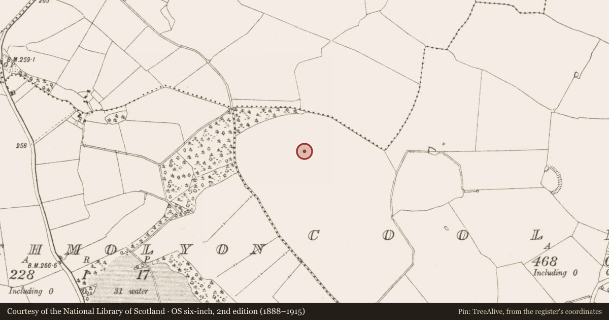 Ordnance Survey six-inch map, 2nd edition (1888–1915) covering the location of Ringfort - rath, Coolderry, County Meath, with a pin at the register's coordinates