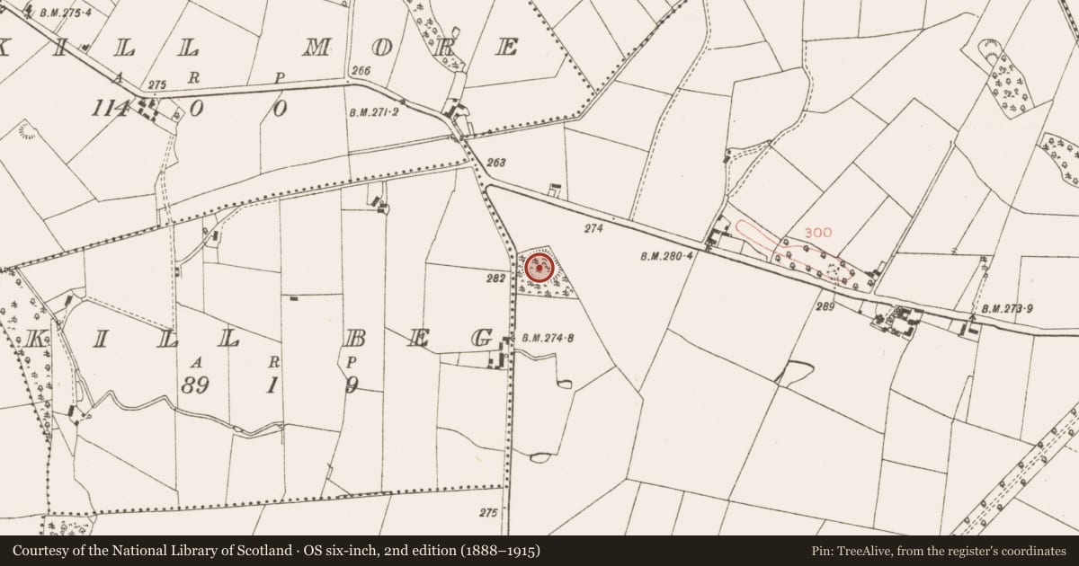 Ordnance Survey six-inch map, 2nd edition (1888–1915) covering the location of Ringfort - rath, Isaacstown, County Meath, with a pin at the register's coordinates