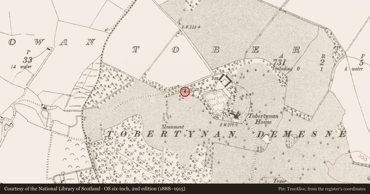 Ordnance Survey six-inch map, 2nd edition (1888–1915) covering the location of Burial, Tobertynan, County Meath, with a pin at the register's coordinates