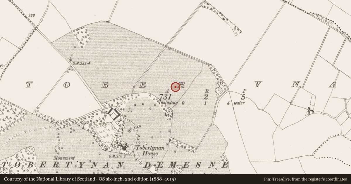 Ordnance Survey six-inch map, 2nd edition (1888–1915) covering the location of Kiln - corn-drying, Tobertynan, County Meath, with a pin at the register's coordinates
