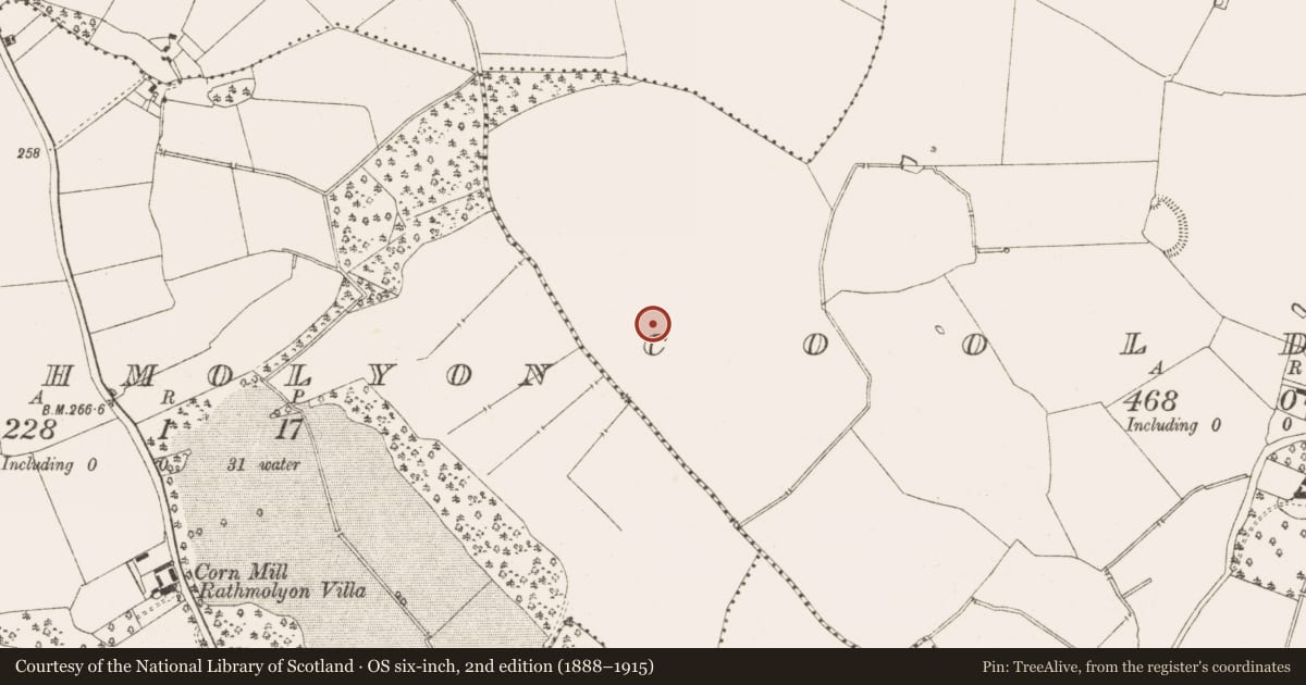Ordnance Survey six-inch map, 2nd edition (1888–1915) covering the location of Burnt mound, Rathmolyon, County Meath, with a pin at the register's coordinates