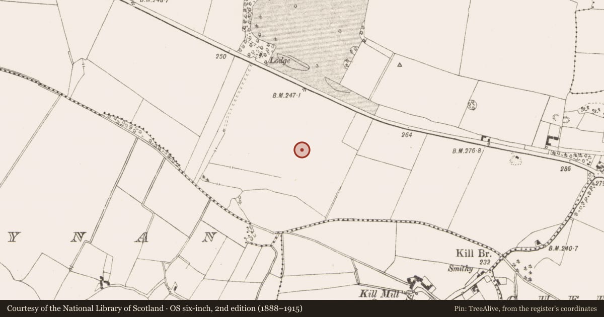Ordnance Survey six-inch map, 2nd edition (1888–1915) covering the location of Burial ground, Tromman, County Meath, with a pin at the register's coordinates