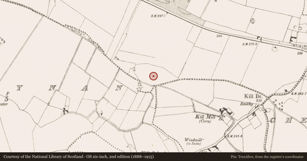 Ordnance Survey six-inch map, 2nd edition (1888–1915) covering the location of Burial ground, Tromman, County Meath, with a pin at the register's coordinates
