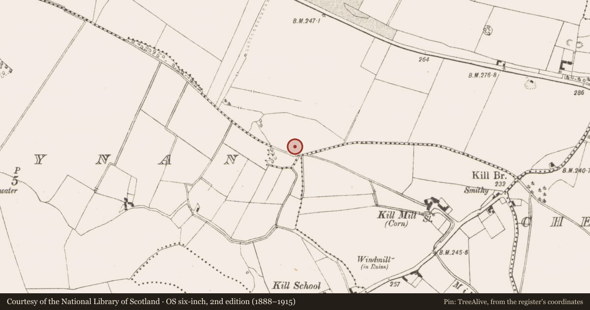Ordnance Survey six-inch map, 2nd edition (1888–1915) covering the location of Structure, Tromman, County Meath, with a pin at the register's coordinates