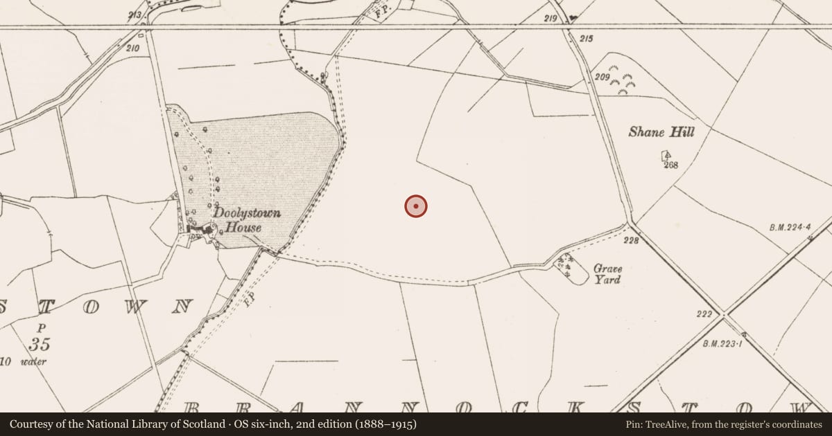 Ordnance Survey six-inch map, 2nd edition (1888–1915) covering the location of Ring-ditch, Brannockstown, County Meath, with a pin at the register's coordinates