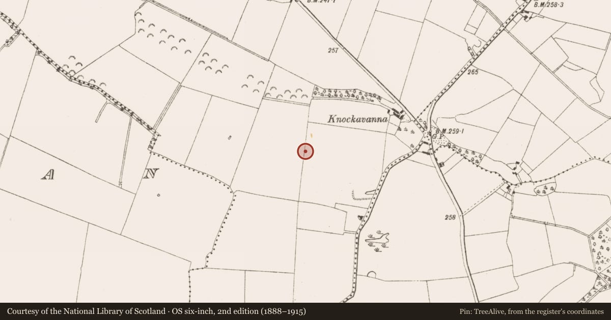 Ordnance Survey six-inch map, 2nd edition (1888–1915) covering the location of Ring-ditch, Castletown, County Meath, with a pin at the register's coordinates