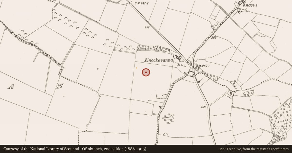 Ordnance Survey six-inch map, 2nd edition (1888–1915) covering the location of Ring-ditch, Castletown, County Meath, with a pin at the register's coordinates
