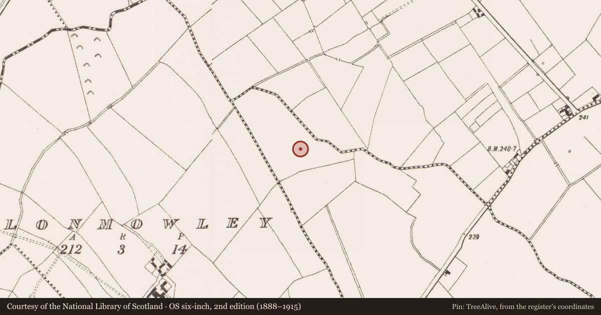 Ordnance Survey six-inch map, 2nd edition (1888–1915) covering the location of Field system, Cullentry, Gilbertstown, County Meath, with a pin at the register's coordinates