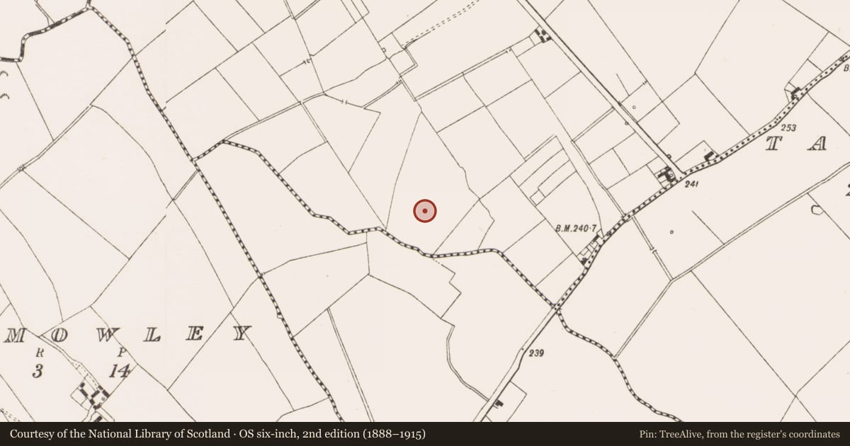 Ordnance Survey six-inch map, 2nd edition (1888–1915) covering the location of Enclosure - large enclosure, Gilbertstown, County Meath, with a pin at the register's coordinates
