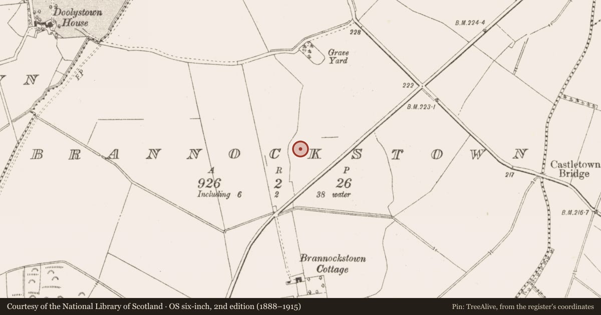 Ordnance Survey six-inch map, 2nd edition (1888–1915) covering the location of Enclosure - large enclosure, Brannockstown, County Meath, with a pin at the register's coordinates