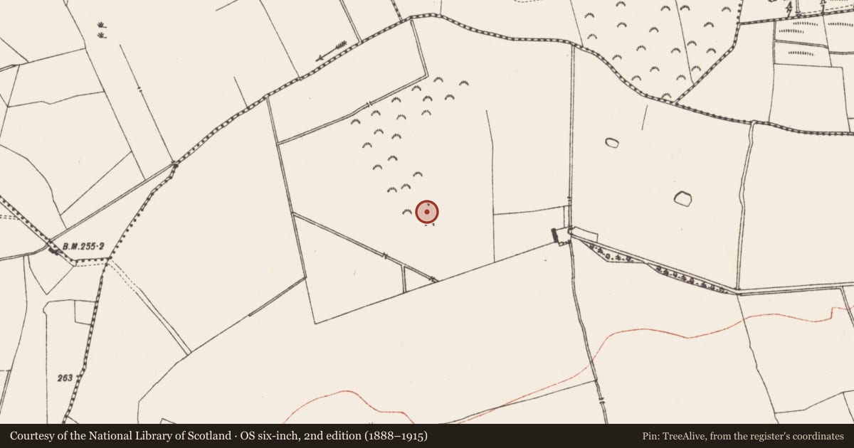 Ordnance Survey six-inch map, 2nd edition (1888–1915) covering the location of Castle - motte, Clonymeath, County Meath, with a pin at the register's coordinates