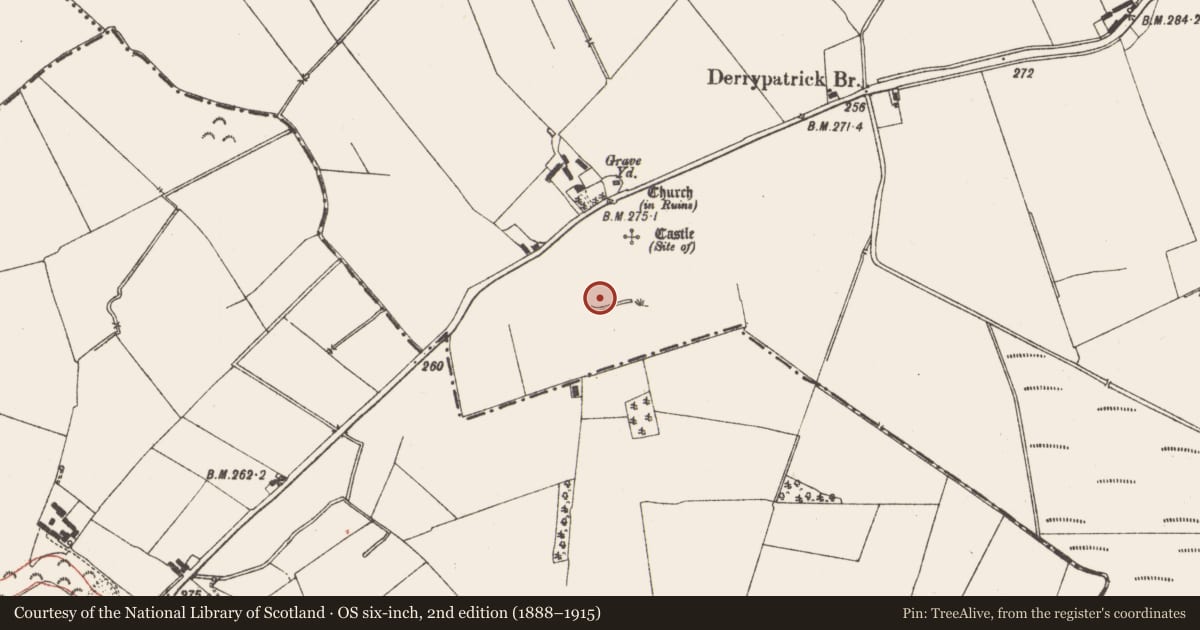 Ordnance Survey six-inch map, 2nd edition (1888–1915) covering the location of Field system, Derrypatrick, County Meath, with a pin at the register's coordinates