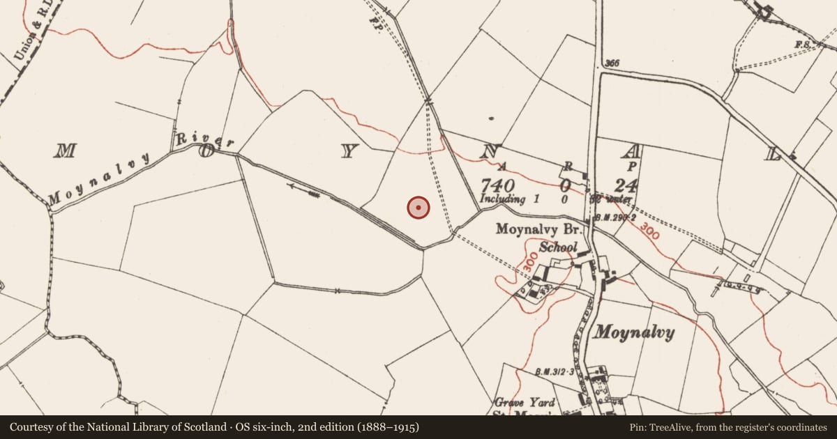 Ordnance Survey six-inch map, 2nd edition (1888–1915) covering the location of Enclosure - large enclosure, Moynalvy, County Meath, with a pin at the register's coordinates