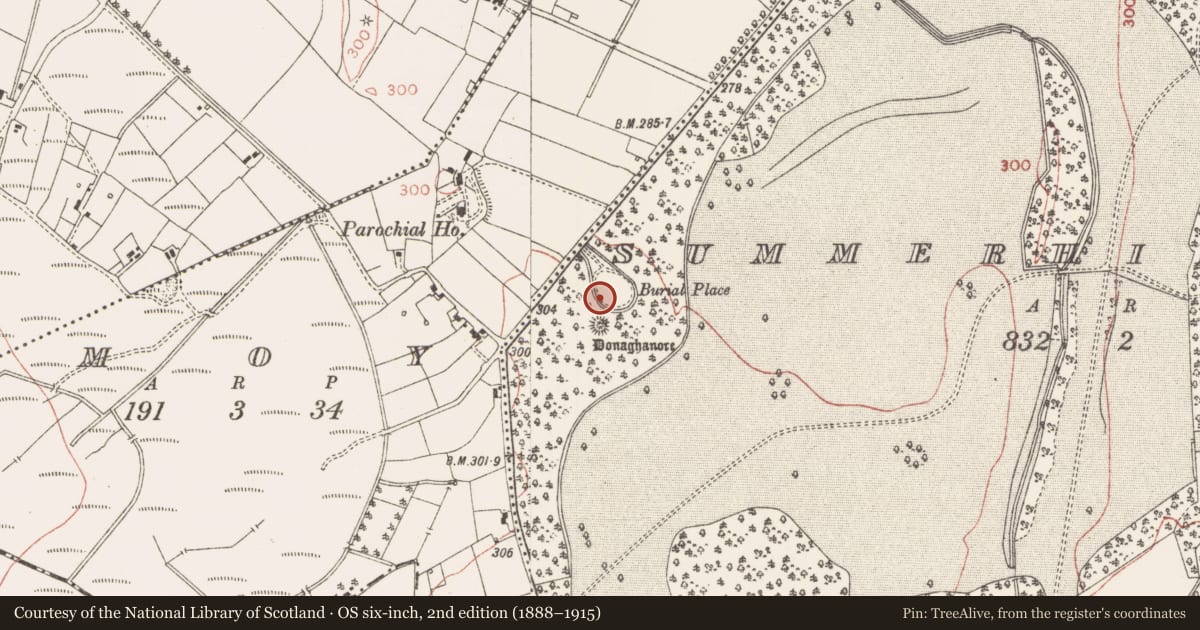 Ordnance Survey six-inch map, 2nd edition (1888–1915) covering the location of Headstone, Summerhill Demesne, County Meath, with a pin at the register's coordinates