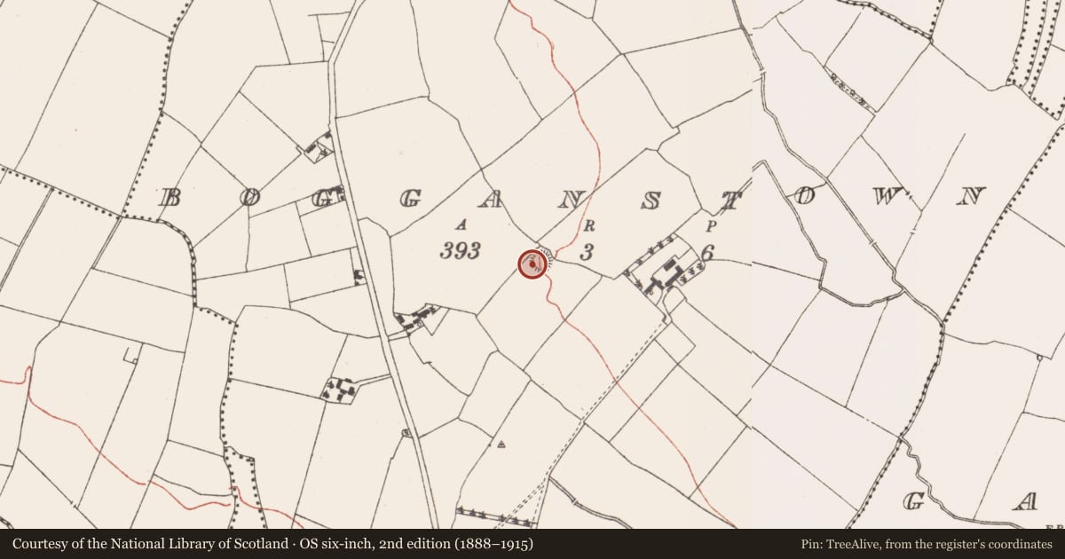 Ordnance Survey six-inch map, 2nd edition (1888–1915) covering the location of Ringfort - rath, Bogganstown, County Meath, with a pin at the register's coordinates