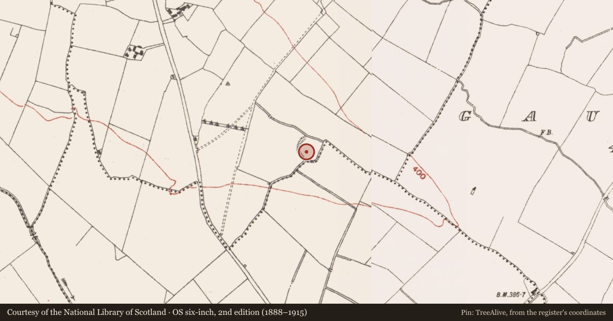 Ordnance Survey six-inch map, 2nd edition (1888–1915) covering the location of Ringfort - rath, Bogganstown, County Meath, with a pin at the register's coordinates