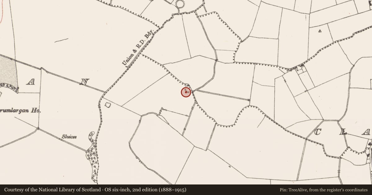 Ordnance Survey six-inch map, 2nd edition (1888–1915) covering the location of Ringfort - rath, Clonlyon, County Meath, with a pin at the register's coordinates