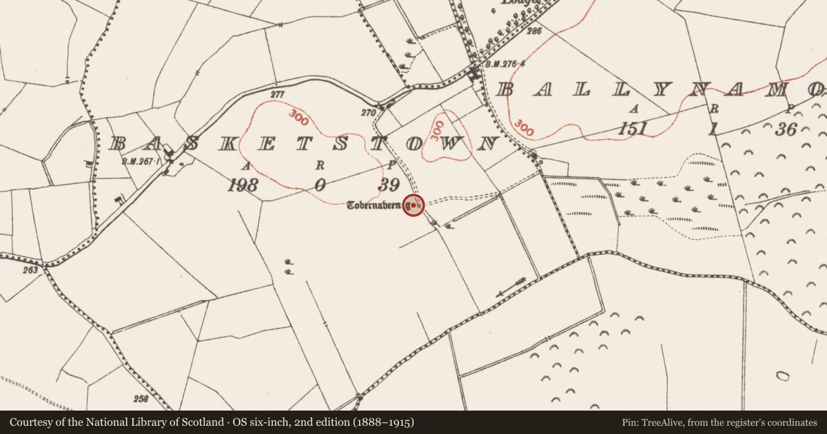 Ordnance Survey six-inch map, 2nd edition (1888–1915) covering the location of Ritual site - holy well, Basketstown, County Meath, with a pin at the register's coordinates