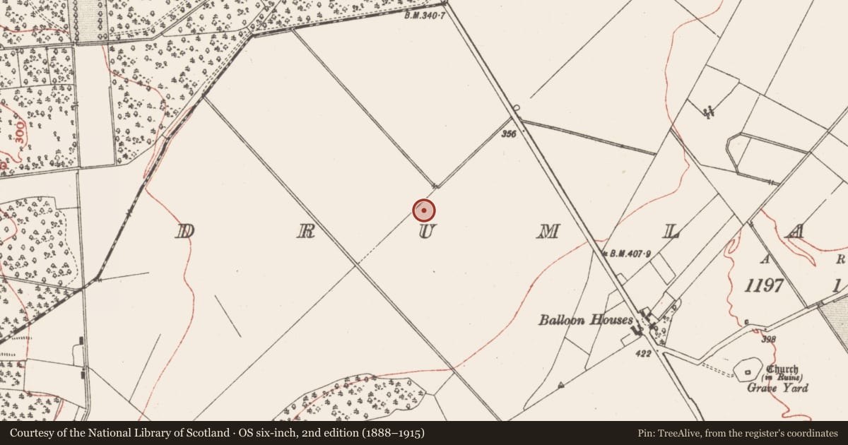 Ordnance Survey six-inch map, 2nd edition (1888–1915) covering the location of Battlefield, Drumlargan, Summerhill Demesne, County Meath, with a pin at the register's coordinates