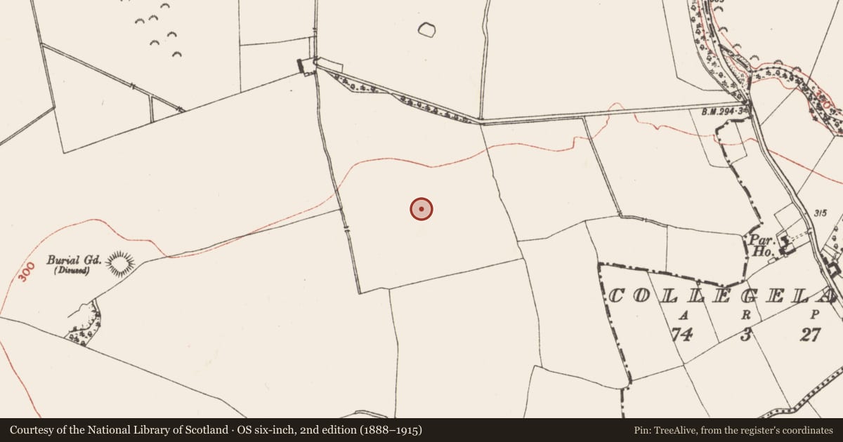 Ordnance Survey six-inch map, 2nd edition (1888–1915) covering the location of Enclosure - large enclosure, Clonymeath, County Meath, with a pin at the register's coordinates