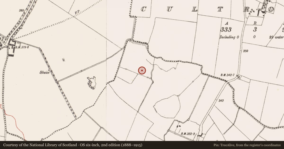 Ordnance Survey six-inch map, 2nd edition (1888–1915) covering the location of Field system, Curraghtown, County Meath, with a pin at the register's coordinates