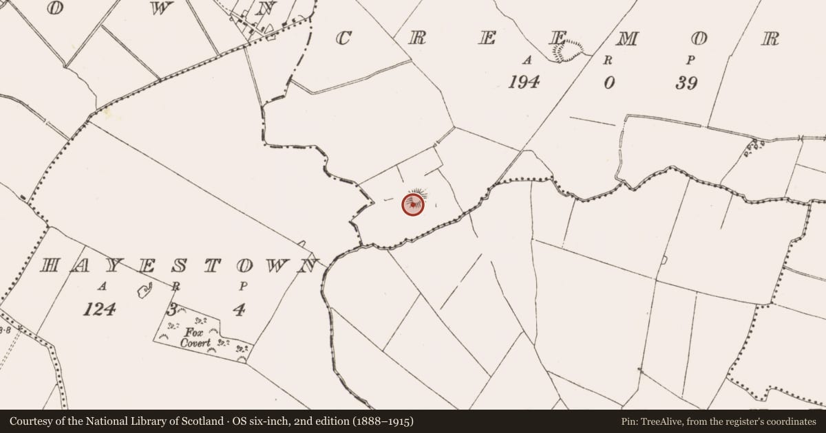 Ordnance Survey six-inch map, 2nd edition (1888–1915) covering the location of Moated site, Creemore, County Meath, with a pin at the register's coordinates